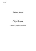 City Snow